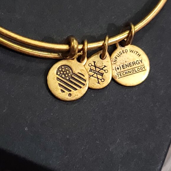 Alex and Ani Apple of Abundance Charm Bracelet - Picture 6 of 11